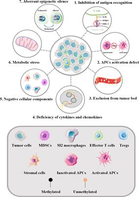 Enhancing the Efficacy of Tumor Vaccines Based on Immune Evasion Mechanisms